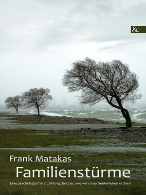 cover image of Familienstürme